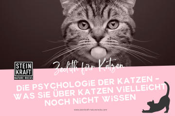Steinkraft Zeolith für Katzen Blog: Die Psychologie der Katzen - Was sie über Katzen vielleicht noch nicht wissen. Ein Blogartikel