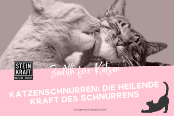 Steinkraft Zeolith für Katzen Blog -
Katzenschnurren: Die heilende Kraft des Schnurrens - ein Blogartikel