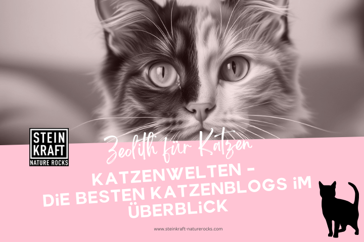 Zeolith für Katzen Blog: Katzenwelten - die besten Katzenblogs im Überblick