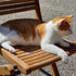 STEINKRAFT Zeolith für Katzen - Katze liegt auf einem Holzgartenstuhl