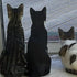 STEINKRAFT Zeolith für Katzen - drei Katzen schauen durch eine Glastür auf die Terasse