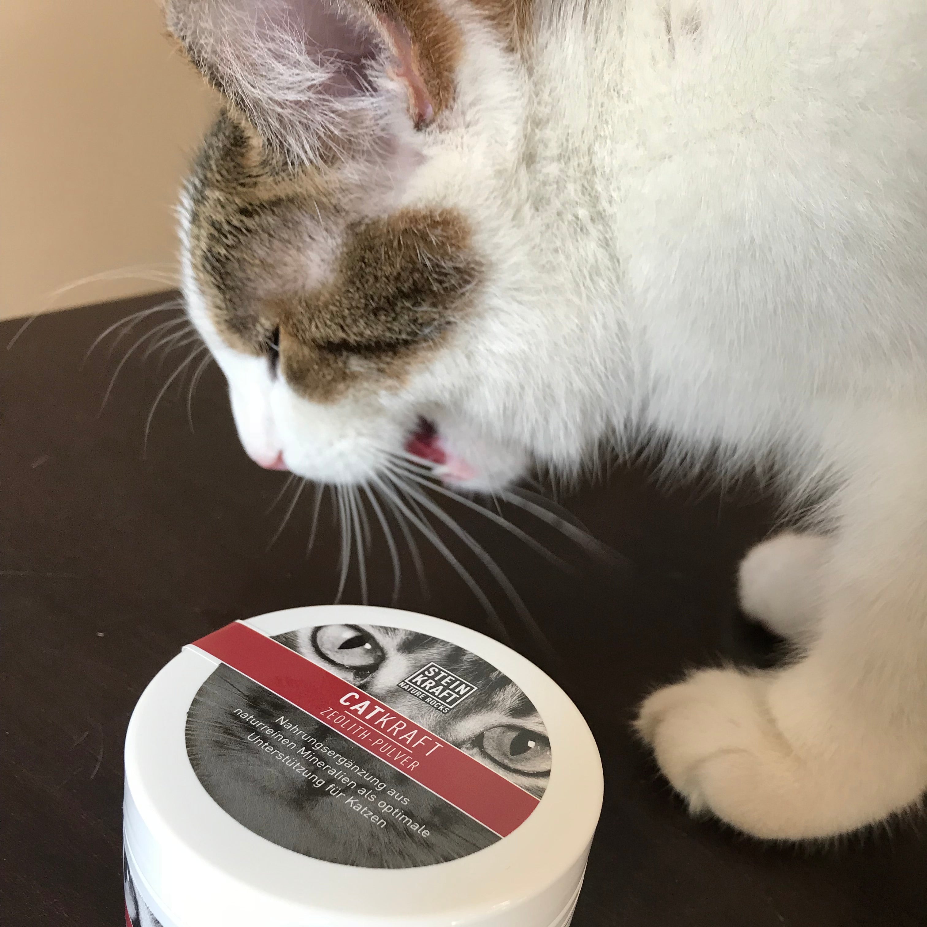 STEINKRAFT Zeolith für Katzen - Katze lacht vor der CATKAF Zeolith Pulver Dose 50g
