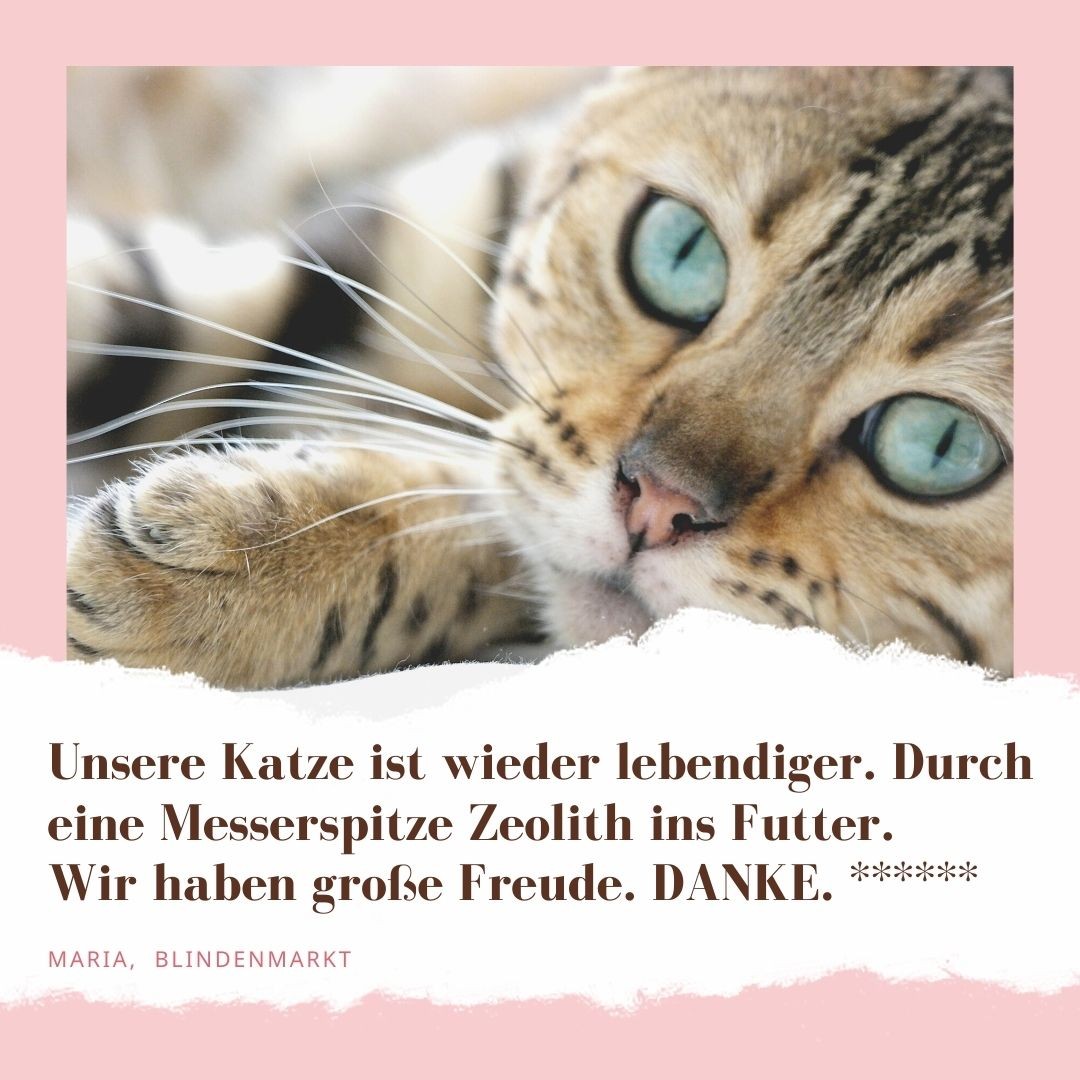 STEINKRAFT Zeolith für Katzen. Maria aus Blindenmarkt sagt: "Unsere Katze ist wieder lebendiger. Durch eine Messerspitze Zeolith ins Futter. Wir haben große Freude. DANKE" und vergibt 5 Sterne.