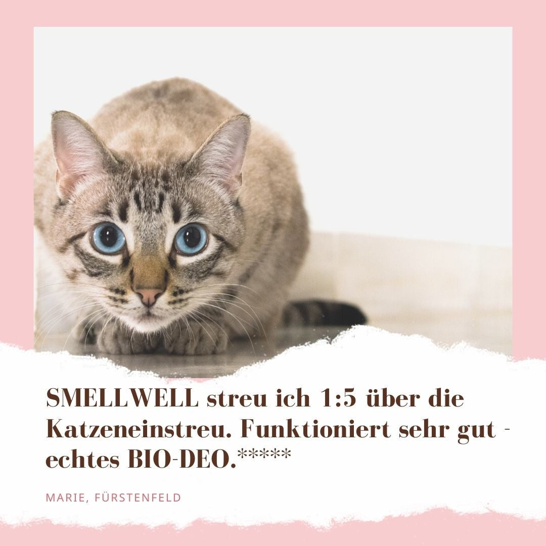 STEINKRAFT Zeolith Katzenstreu fürs Katzenklo. Marie aus Fürstenfeld sagt: "Smellwell streu ich 1 zu 5 über die katzenstreu. Funktioniert sehr gut - echtes BIO Deo" und vergibt 5 Punkte.