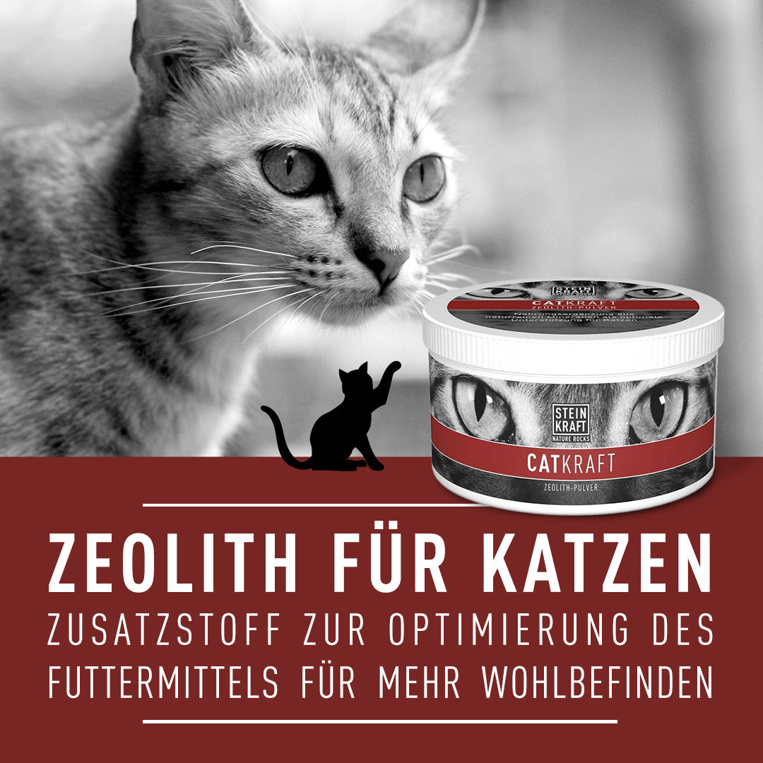 STEINKRAFT Zeolith für Katzen