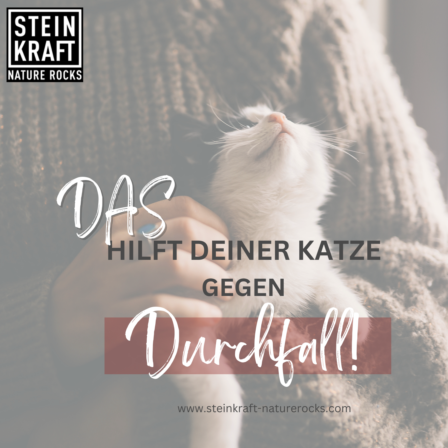 STEINKRAFT Zeolith für Katzen - das hilft diner katze gegen Durchfall