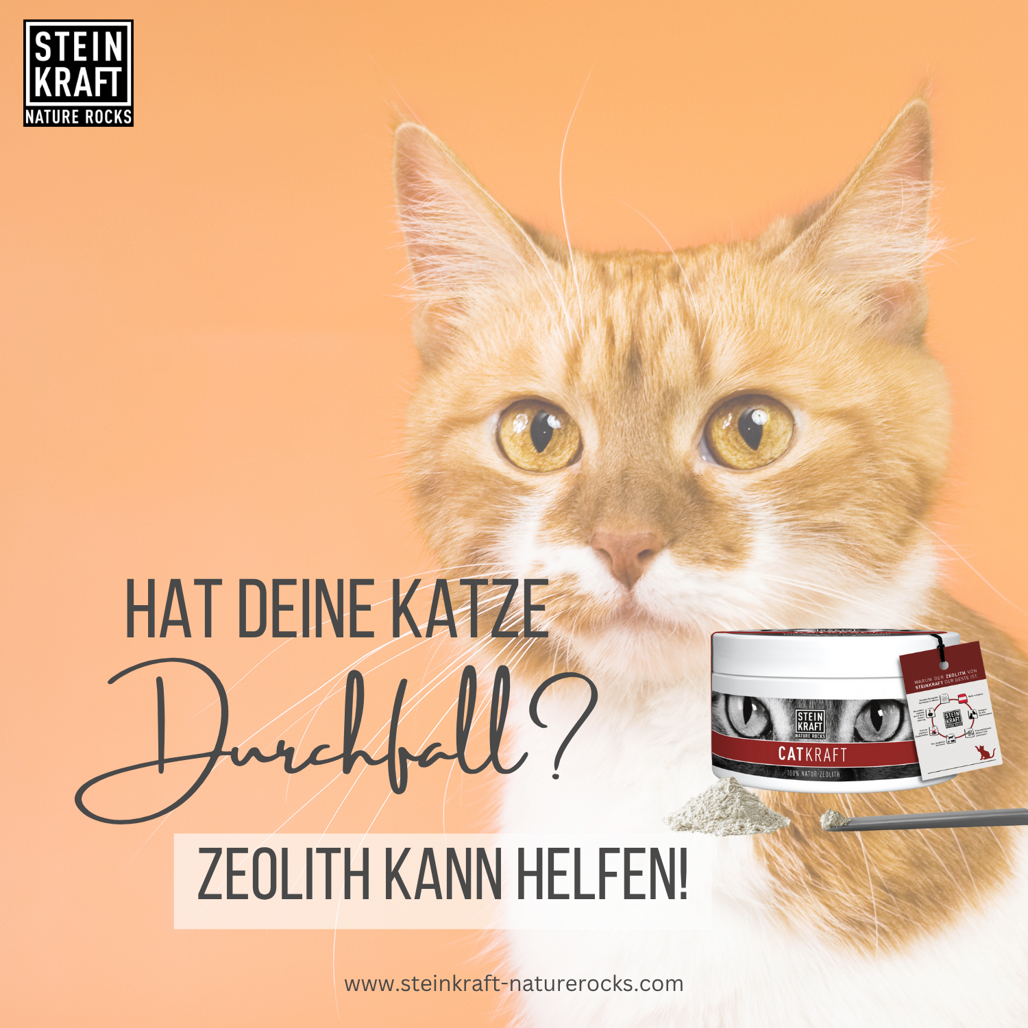 Hat deine katze Durchfall? Zeolith kann helfen