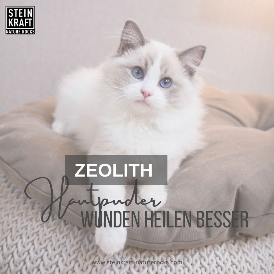 STEINKRAFT Zeolith Hautpuder mit Lavendeöl für Katzen