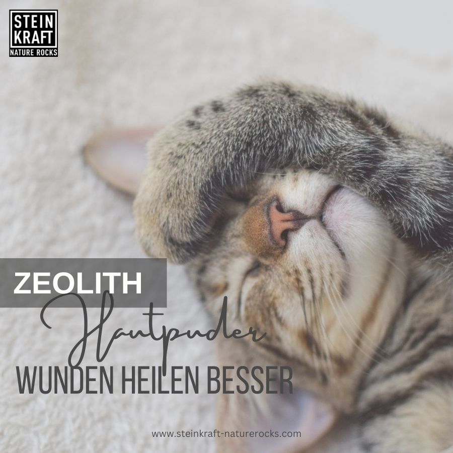 STEINKRAFT Zeolith Hautpuder für Katzen bei Milben und Wunden