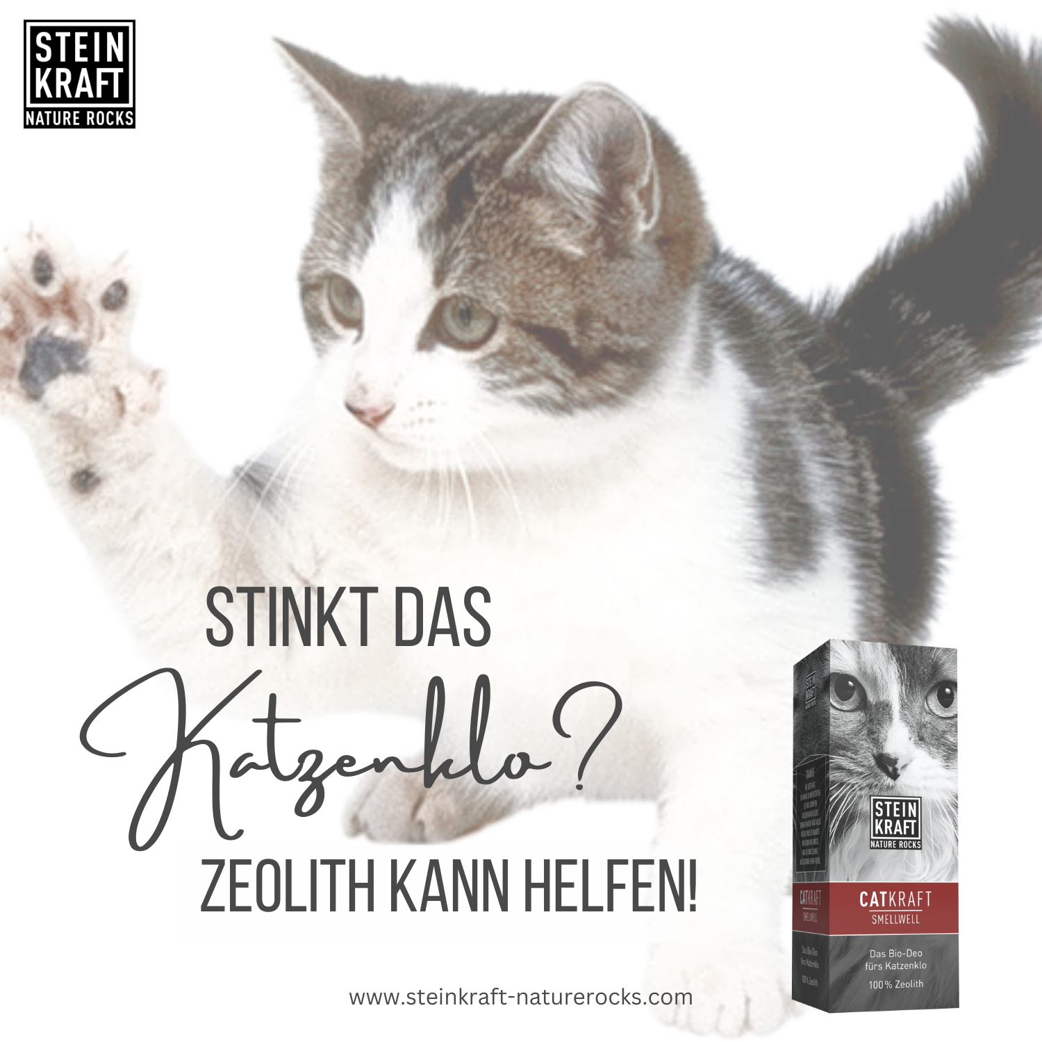 Zeolith Katzenstreu fürs Katzenklo