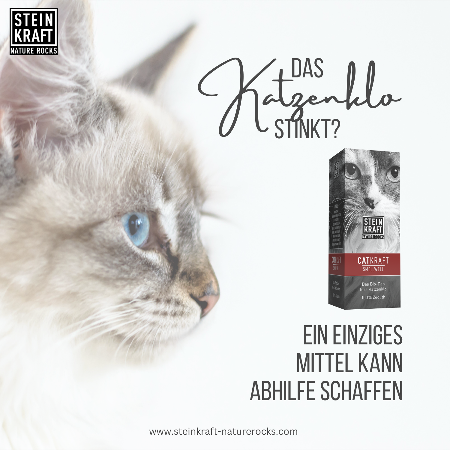 STEINKAFT Zeolith Einstreu fürs Katzenklo - Zeolith Einstreu : ein einziges Mittel kann Abhilfe schaffen wenn das Katzenkisterl stinkt.