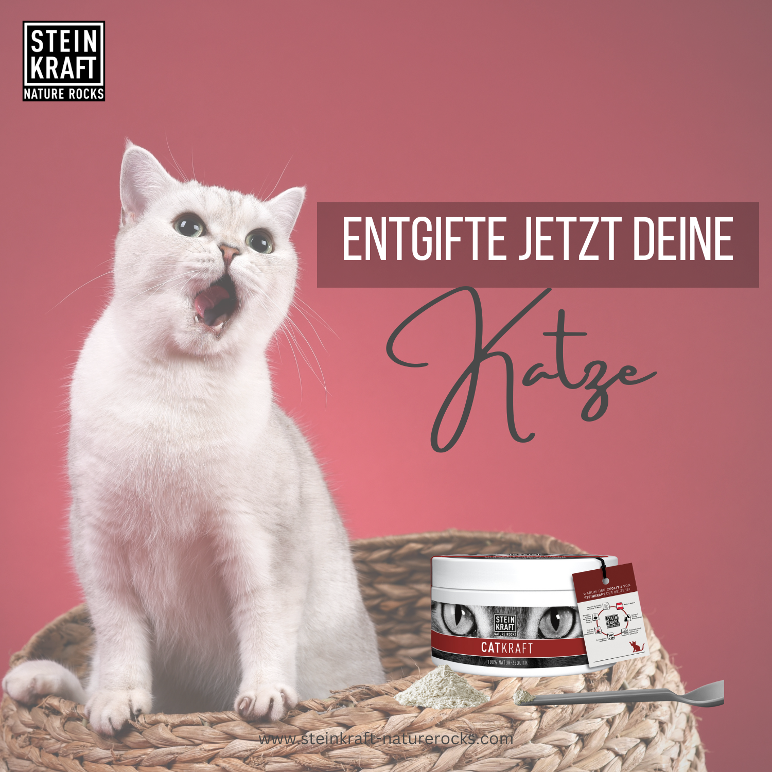 Entgifte jetzt deine Katze mit Zeolith