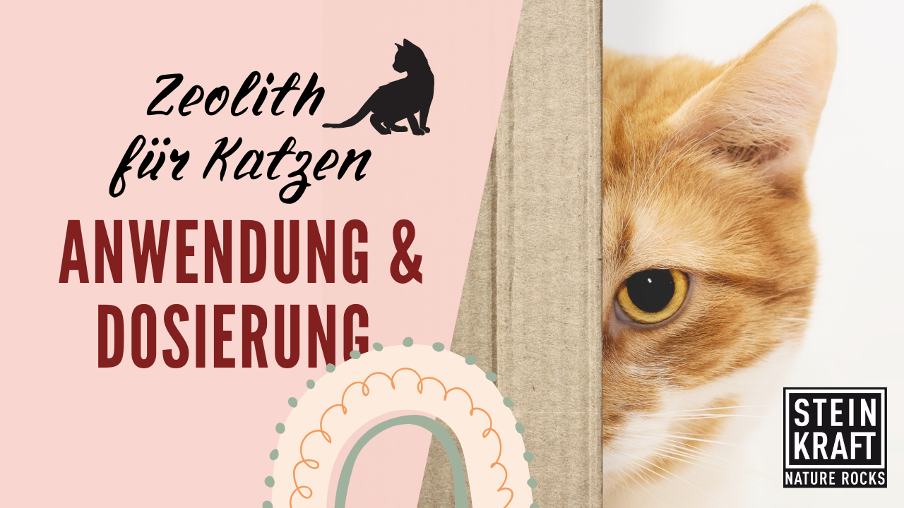 STEINKRAFT Zeolith für Katzen: Anwendung und Dosierung