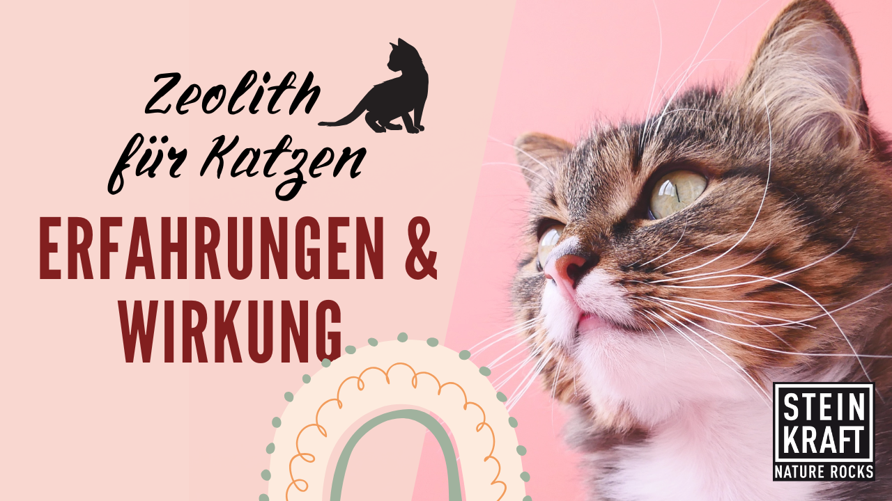 STEINKRAFT Zeolith für Katzen: Erfahrungen und Wirkung