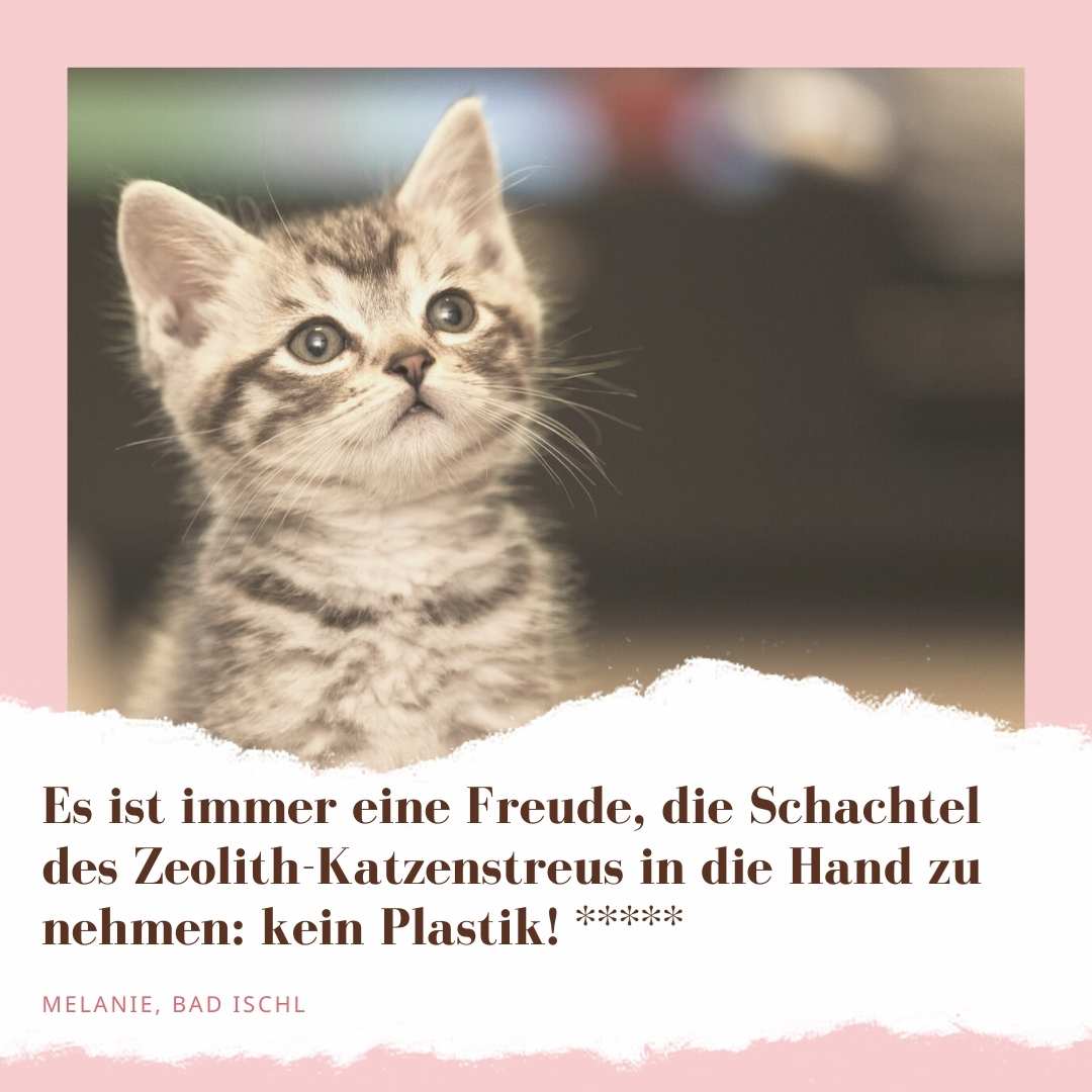 "Es ist immer eine Freude, die Schachtel des Zeolith-Katzenstreus in die Hand zu nehmen: KEIN Plastik!" 5 Sterne für STEINKRAFT Katzenstreu von Melanie aus Bad Ischl.