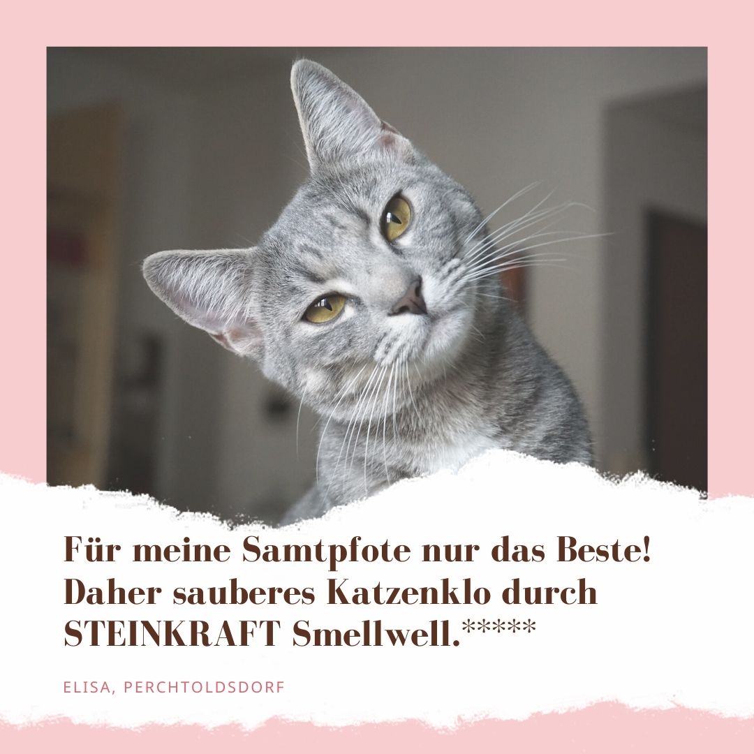 "Für meine Samtpfote nur das Beste! Daher sauberes Katzenklo durch STEINKRAFT Smellwell." 5 Sterne von Elisa aus Perchtoldsdorf.