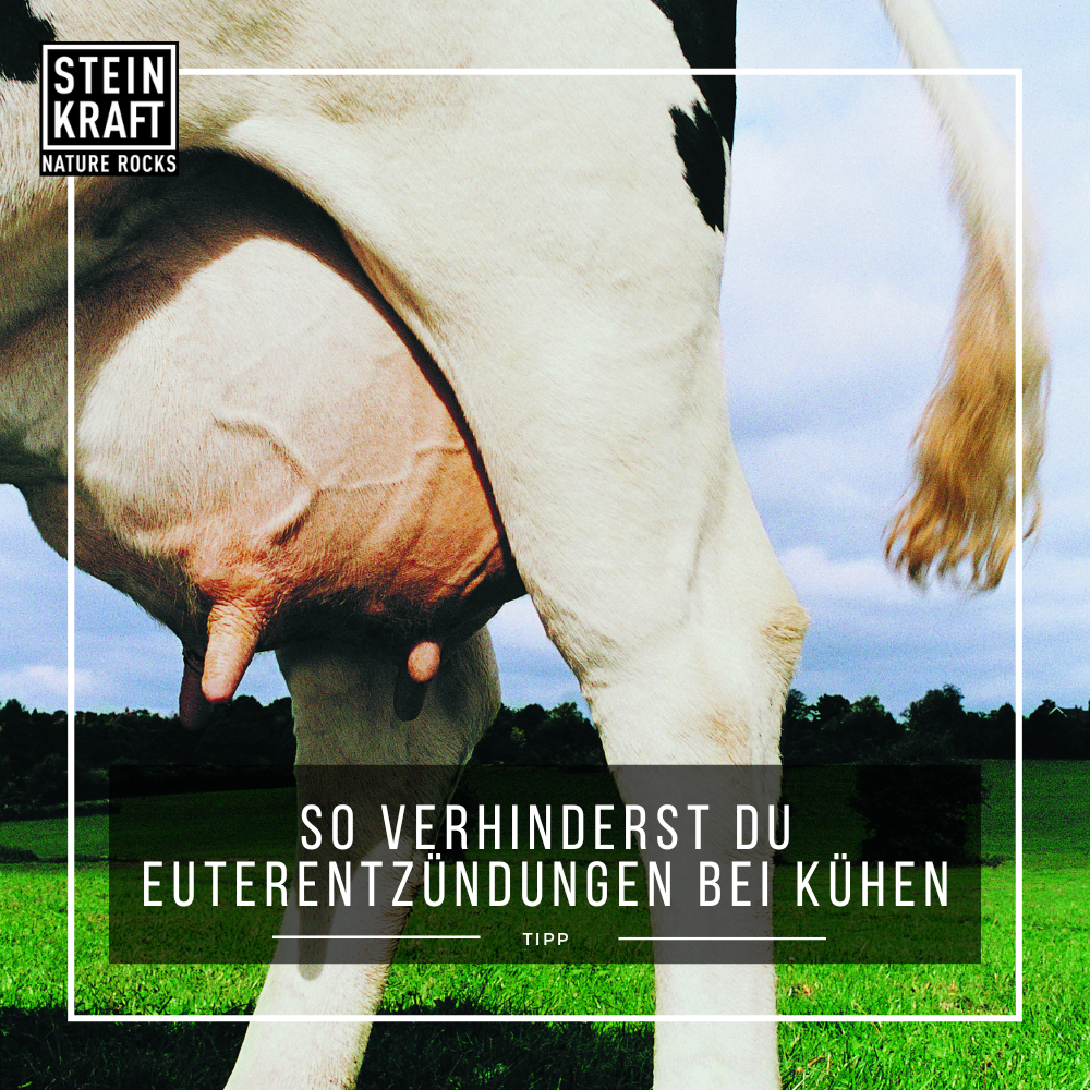 STALLKRAFT-Einstreu mit Zeolith und Bio Kräuter