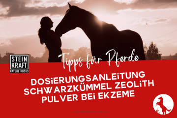 Steinkraft Zeolith für Pferde Blog - Dosierungsanleitung Schwarzkümmel Zeolith Pulver bei Ekzeme - ein Blogartikel