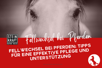 STEINKRAFT Zeolith für Pferde Blog: Fellwechsel bei Pferden - Tipps für eine effektive Pflege und Unterstützung - Fachartikel