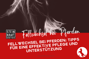 STEINKRAFT Zeolith für Pferde: Fellwechsel - Tipps für eine effekitve Pflege und Unterstützung - Artikel mit vielen Anwendungstipps