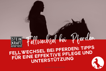 STEINKRAFT Zeolith für Pferde: Fellwechsel - Tipps für eine effektive Pflege und Unterstützung - hier geht es zu einem Fachartikel