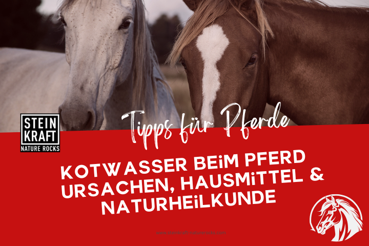 STEINKRAFT Zeolith für Pferde Blogbeitrag: Kotwasser beim Pferd - Ursachen, Hausmittel und Naturheilkunde