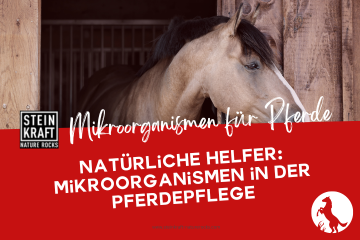 STEINKRAFT Mikroorganismen für Pferde - Natürliche Helfer in der Pferdepflege und Stallhygiene
