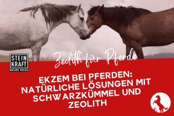 STEINKRAFT Zeolith für Pferde Blog: Ekzem bei Pferde - Natürliche Lösungen mit Schwarzkümmel und Zeolith.