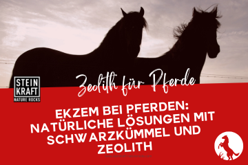 STEINKRAFT Zeolith für Pferde: Ekzem bei Pferden - Natürliche Lösungen mit Schwarzkümmel und Zeolith hält Mücken fern.