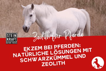 STEINKRAFT Zeolith für Pferde: Ekzem bei Pferden - Natürliche Lösungen mit Schwarzkümmel und Zeolith hält Mücken fern.