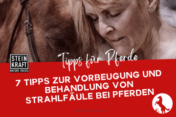 Zeolith für Pferde Blog: 7 Tipps zur Vorbeugung und Behandlung von Strahlfäule bei Pferden - ein Fachartikel