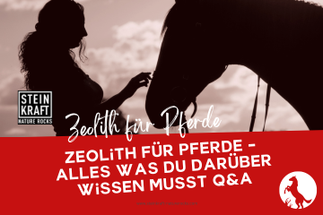 STEINKRAFT Zeolith für Pferde - Alles was du darüber wissen musst inclusive  Fragen und alle Antworten - ein Fachartikel