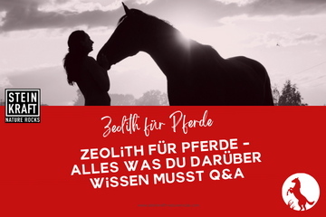 STEINKRAFT Zeolith für Pferde: Alles was du darüber wissen musst - ein allumfassender Blogbeitrag