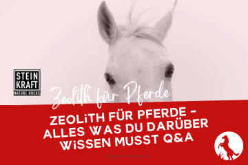 STEINKRAFT Zeolith für Pferde: Alles was due darüber wissen musst - viele Fragen und ihre Antworten