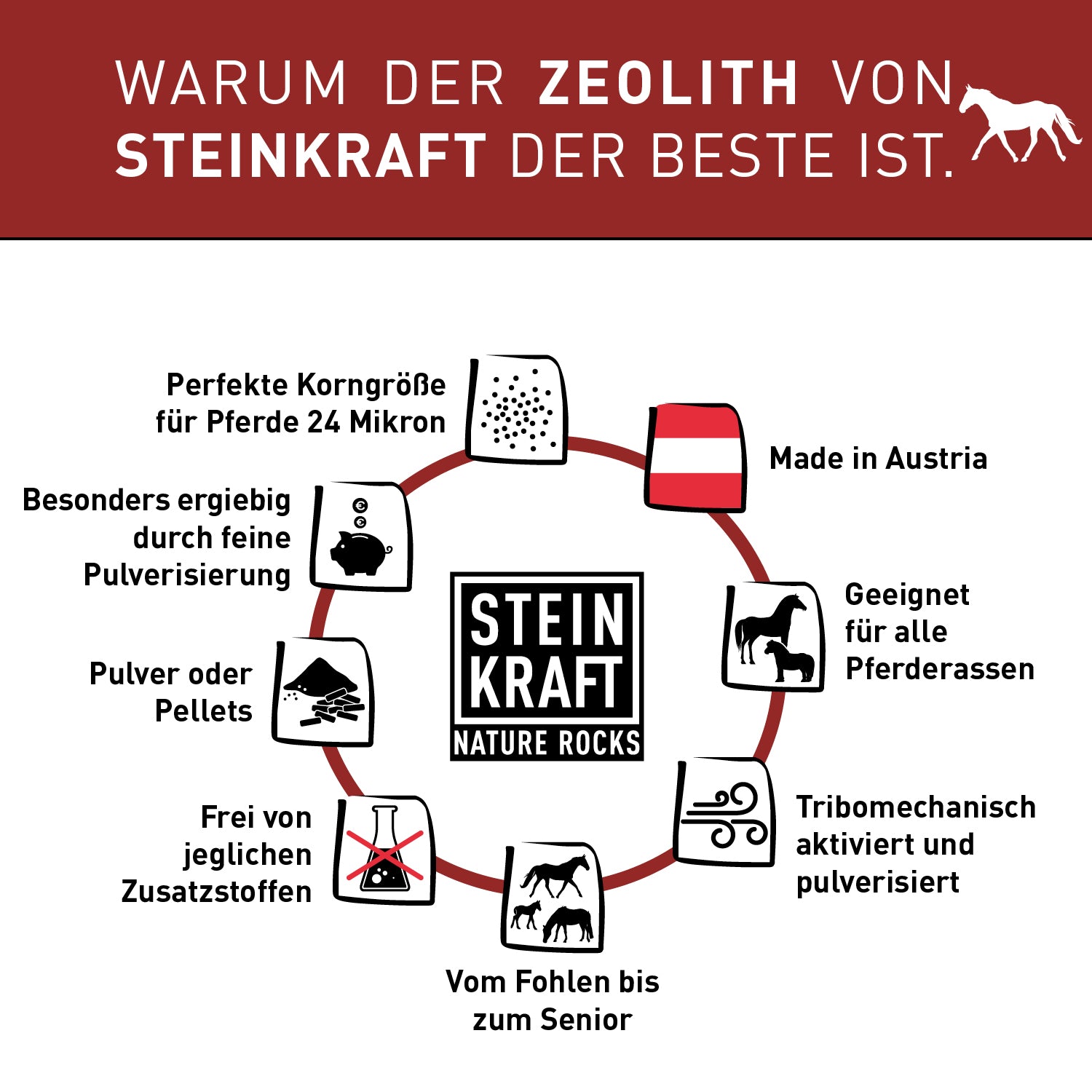 STEINKRAFT Zeolith für Pferde: Warum der Zeolith von STEINKRAFT der Beste ist: geeignet für alle Pferderassen, Pulver und Pellets, perfekte Korngröße 24 Mikron. Hilft bei Kotwasser und Ekzeme von innen.