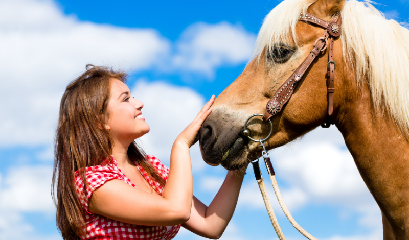 STEINKRAFT Zeolith für Pferde - Haflinger  mit Frau