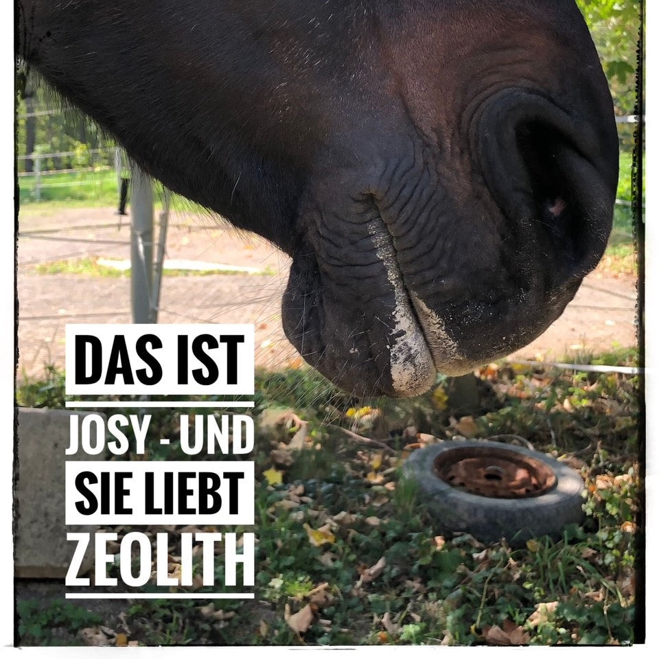 Das ist Josy und sie liebt Zeolith.