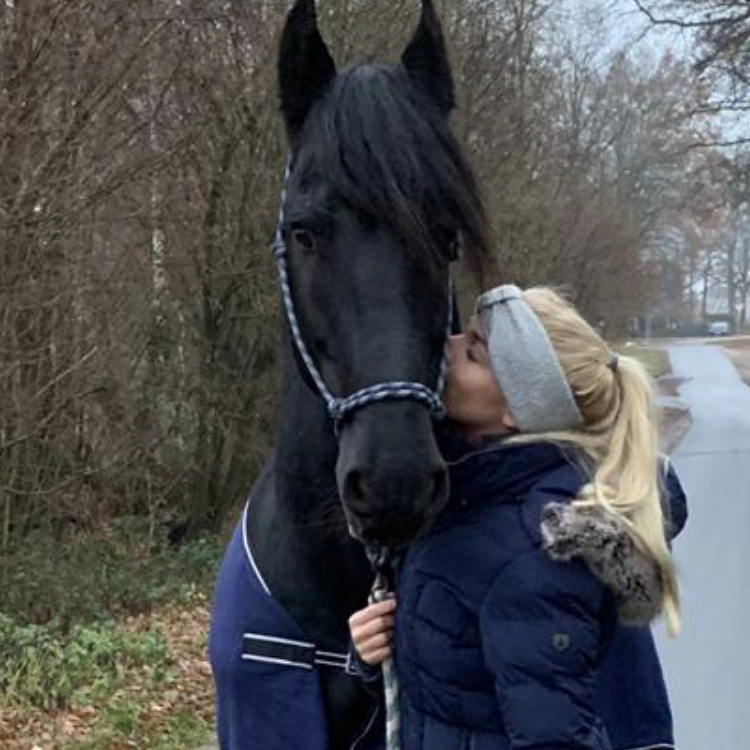 Friese bekommt Küsschen von seiner Besitzerin, die froh ist, dass das Pferd kein Kotwasser mehr hat. Dank Zeolith.