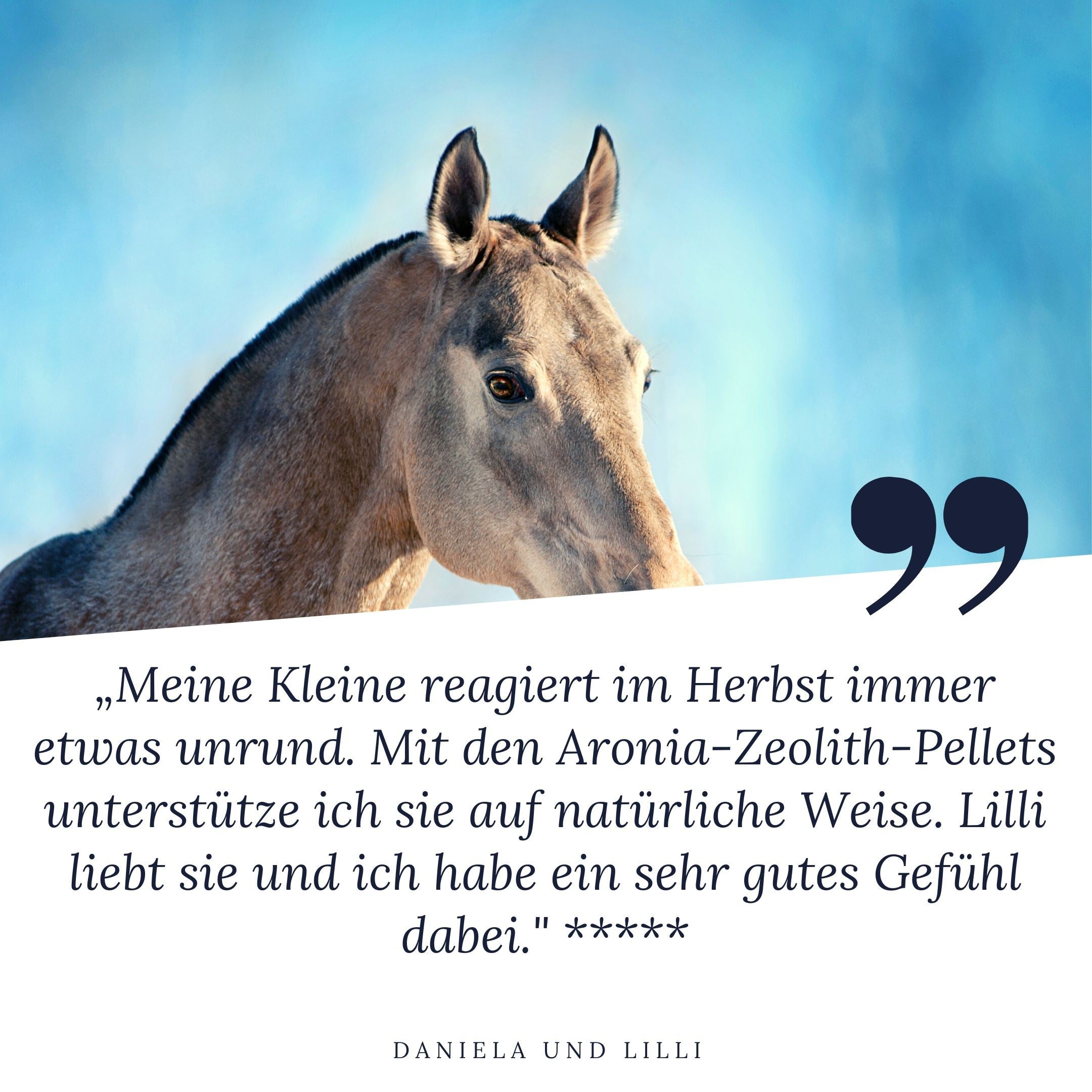 "Meine Kleine reagiert im Herbst immer etwas unrund. Mit den Aronia Zeolith Pellets unterstütze ich sie auf natürliche Weise", 5 Sterne von Daniela und Lilli für STEINKRAFT
