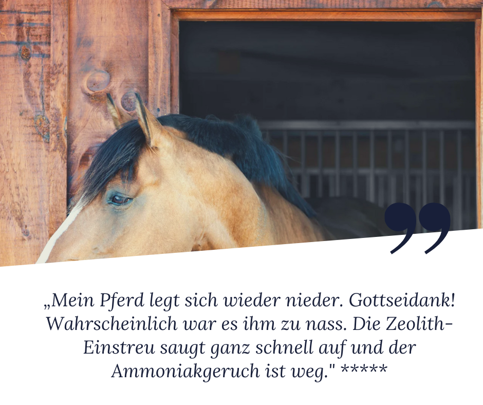 Zeolith Einstreu für trockene Pferdeboxen - Eine Kundin berichtet: "Mein Pferd legt sich wieder nieder. Gottseidank! Wahrscheinlich war es ihm zu nass. Die zeolith-Einstreu saugt ganz schnell auf und der Ammoniakgeruch ist weg", und vergibt der Einstreu 5 Sterne.