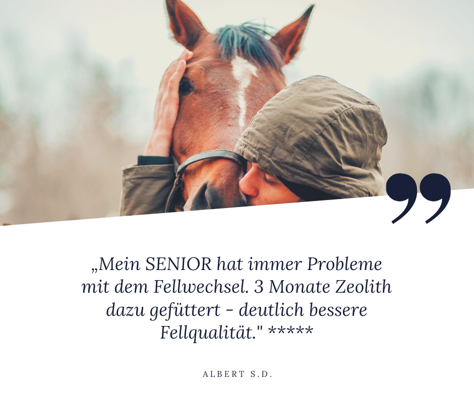 "Mein SENIOR hat immer Probleme mit dem Fellwechsel. 3 Monate Zeolith dazu gefüttert - deutlich bessere Fellqualität", sagt Albert und gibt STEINKRAFT Zeolith für Pferde 5 Sterne.