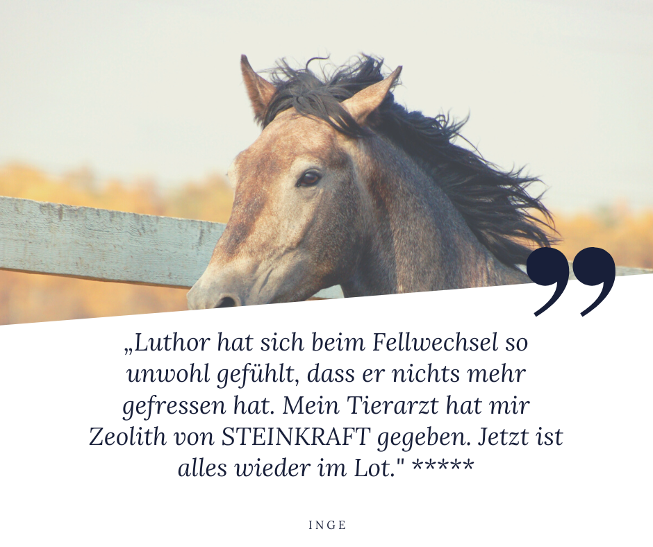STEINKRAFT Zeolith für Pferde - Inge sagt: "Luthor hat sich beim Fellwechsel  so unwohl gefühlt, dass er nichts mehr gefressen hat. Mein Tierarzt hat mir zeolith von STEINKRAFT gegeben. Jetzt ist er wieder im Lot," und vergibt 5 Sterne.