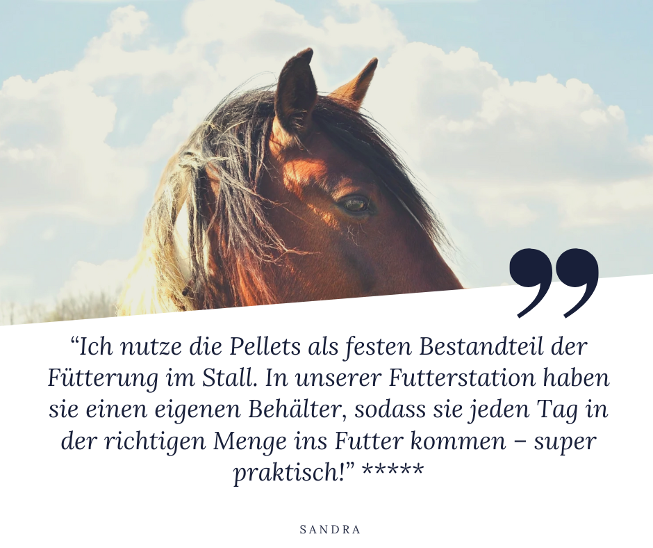 STEINKRAFT Zeolith Pellets für Pferde - 
Sandra, eine Kundin berichtet: "Ich nutze die Pellets als festen Bestandteil der Fütterung im Stall. In unserer Futterstation haben sie einen eigenen Behälter, sodaß sie jeden Tag in der richtigen Menge ins Futter kommen - super praktisch!" Steinkraft Zeolith Pellets bekommen 5 Sterne.