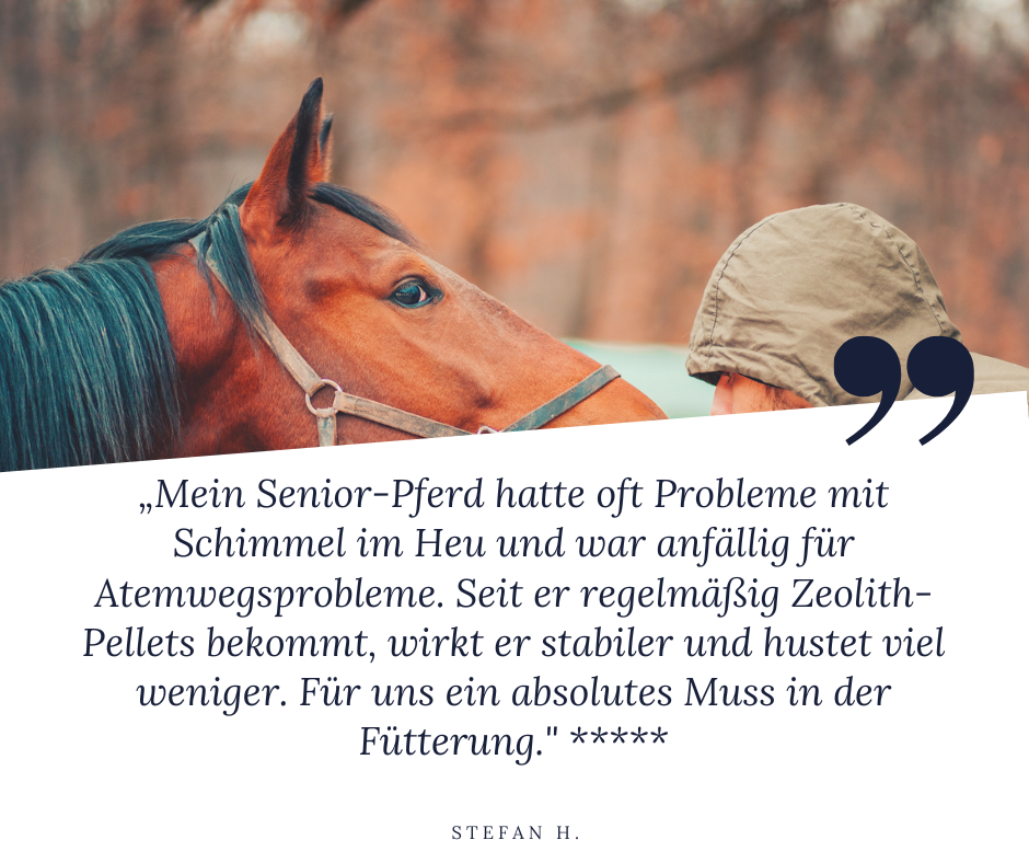 STEINKRAFT Zeolith Pellets für Pferde -
Stefan H. sagt: "Mein Senior-Pferde hatte oft Probleme mit Schimmel im Heu und war anfällig für Atemwegsprobleme. Seit er regelmäßig Zeolith-Pellets bekommt, wirkt er stabiler und hustet viel weniger. Für uns ein absolutes Muss in der Fütterung", und gibt dem Produkt 5 Sterne.