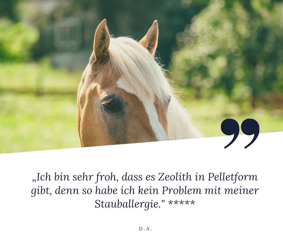 STEINKRAFT Zeolith Pellets für Pferde - 
D.A. sagt: "Ich bin froh, dass es Zeolith in Pelletform gibt, denn so habe ich kein Problem mit meiner Stauballergie." 5 Sterne für Zeolith in Pelletform.