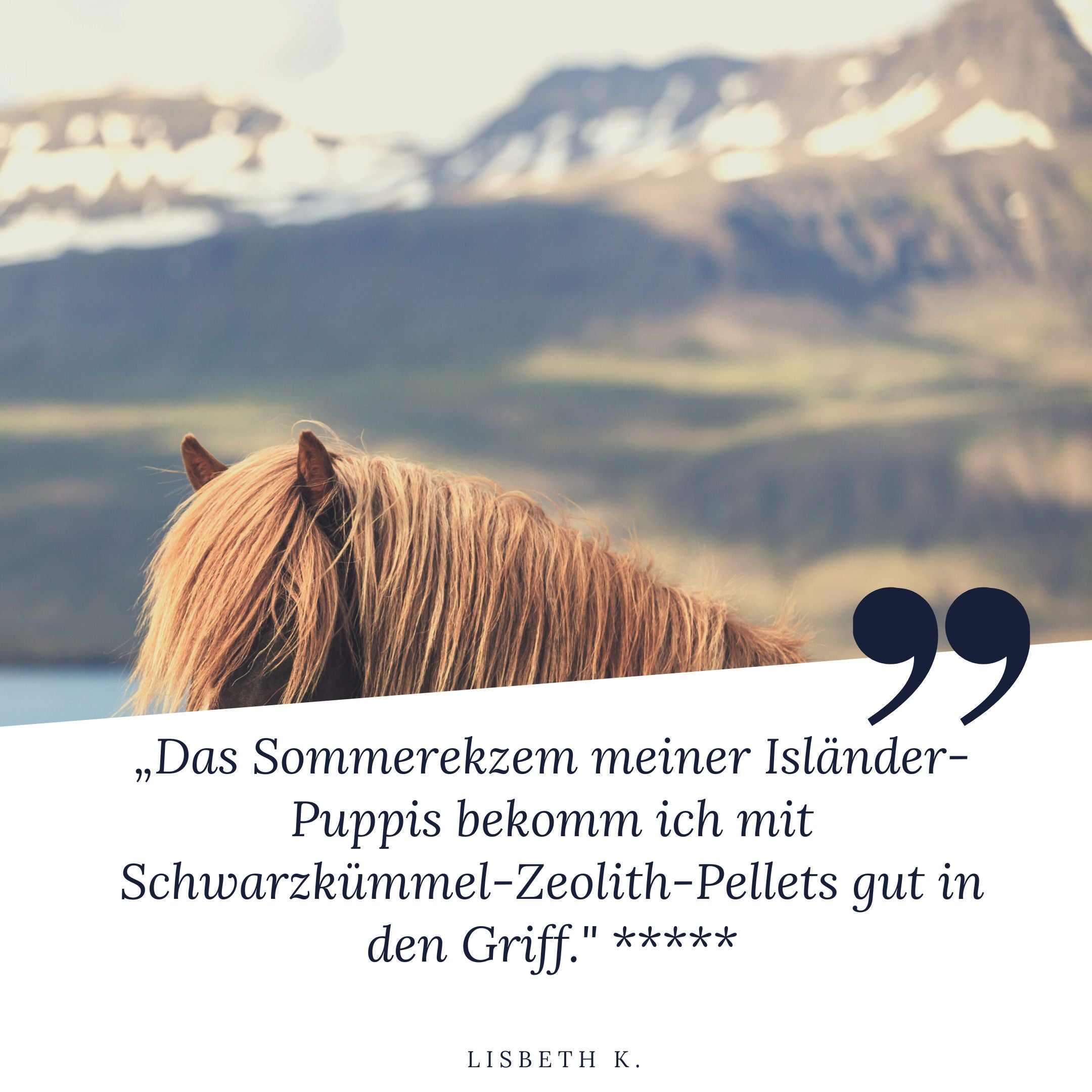 STEINKRAFT Zeolith für Pferde mit Sommerekzem. Lisbeth K sagt: "Das Sommerekzem meiner Isländer_Puppis bekomm ich mit Schwarzkümmel und Zeolith gut in den Griff" und vergibt 5 Sterne.