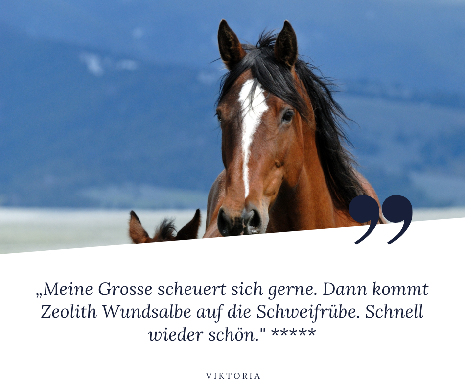 STEINKRAFT Zeolith für Pferde - Viktoria, eine Kundin sagt: "Meine Grosse scheuert sich gerne. Dann kommt Zeolith Wundsalbe auf die Schweifrübe. Schnell wieder schön," und vergibt 5 Sterne.