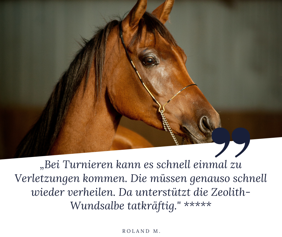 STEINKRAFT Zeolith für Pferde - Roland M. sagt: "Bei Turnieren kann es schnell zu Verletzungen kommen. Die müssen genauso schnell wieder verheilen. da unterstützt die Zeolith-Wundsalbe tatkräftig," und gibt der Zeolith-Wundsalbe 5 Sterne.