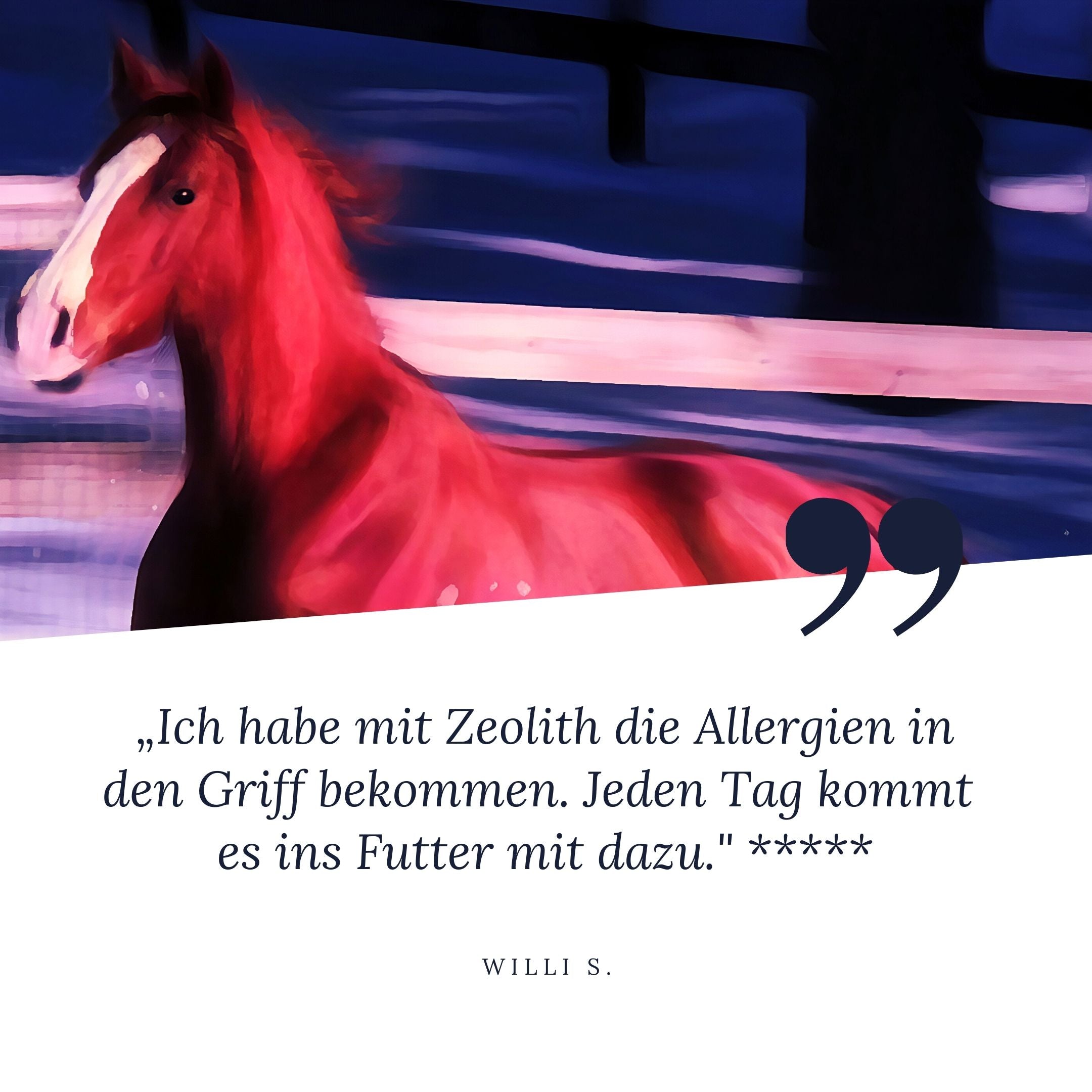 "Ich habe mit Zeolith die Allergien meines Pferdes in den Griff bekommen. Jeden Tag kommt es ins Futter mit dazu", sagt willi und gibt 5 Sterne.