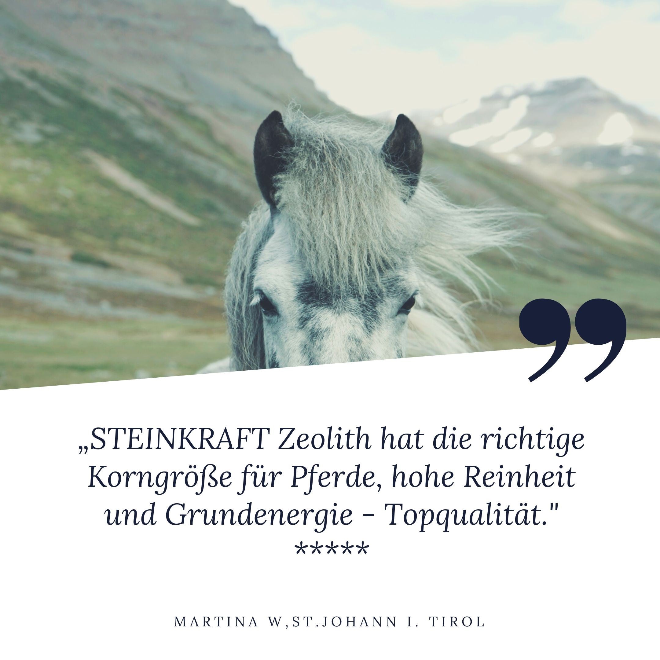 Zeolith für Pferde beste Qualität optimale Korngröße